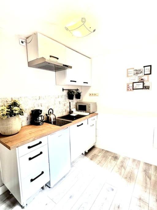 בודפשט L1 City Centre Loft מראה חיצוני תמונה